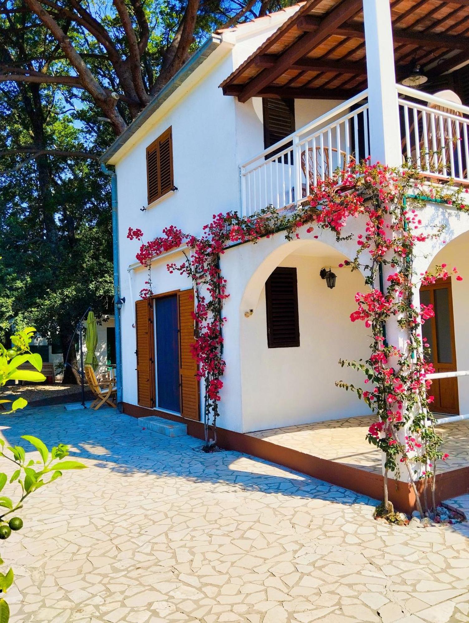 Holiday House Pinus Pinea Viganj Luaran gambar